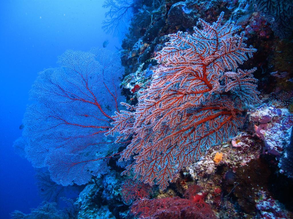 Diving Center Punta Stilo Apartment Екстериор снимка